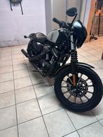 Harley davidson sportster iron 883, Motos, Chopper, Particulier, Permis Moto A2 minimum, 12 à 35 kW