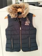 Bodywarmer winterjas donkerblauw hv polo, Kleding | Dames, Bodywarmers, Ophalen, Zo goed als nieuw, Maat 34 (XS) of kleiner