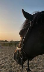 Halve stal, Dieren en Toebehoren