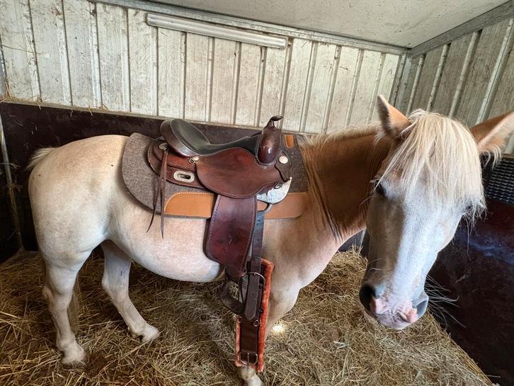 Western zadel set te koop, Dieren en Toebehoren, Paarden en Pony's | Zadels, Zo goed als nieuw, Western, Ophalen