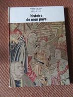 B  histoire de mon pays Billebault et de Villers, Livres, Histoire nationale, Enlèvement, Utilisé