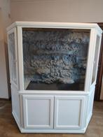 Groot terrarium, Dieren en Toebehoren, Reptielen en Amfibieën | Toebehoren, Ophalen