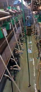 Melkmachine Westfalia gea melkstand visgraat opdrijfhek, Dieren en Toebehoren