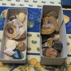 Schelpen & Gesteenten, Verzamelen, Mineralen en Fossielen, Ophalen, Overige typen