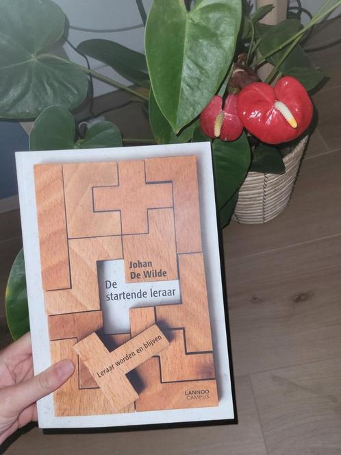 Johan De Wilde - De startende leraar, Boeken, Wetenschap, Zo goed als nieuw, Ophalen of Verzenden