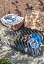 Starterspakket binnenkonijn, Dieren en Toebehoren, Ophalen of Verzenden, Zo goed als nieuw
