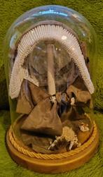 Antiek traditioneel hoofdkapje te koop., Antiek en Kunst, Antiek | Kleding en Textiel, Ophalen of Verzenden