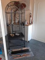 Vogel/papegaaikooi, Dieren en Toebehoren, Ophalen, Zo goed als nieuw