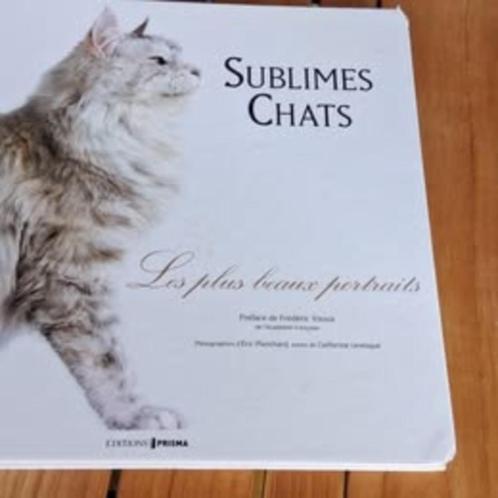 2 LIVRES POUR ADULTES ET 10 POUR ENFANTS ( LECT. ET MATH.), Boeken, Schoolboeken, Zo goed als nieuw, Overige vakken, BSO, Ophalen