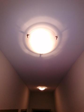 2 plafondlampen