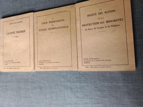 'l'activité politique -Genève 1928, Livres, Politique & Société, Utilisé, Politique, Enlèvement ou Envoi