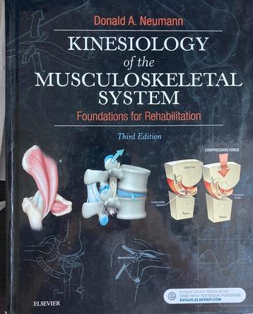 Kinesiology of the Musculoskeletal System