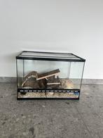 Complete gerbilset 60x40x40 met alles erop en eraan, Dieren en Toebehoren, Ophalen of Verzenden, Zo goed als nieuw
