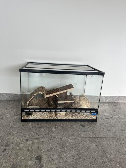 Complete gerbilset 60x40x40 met alles erop en eraan, Dieren en Toebehoren, Knaagdieren en Konijnen | Hokken en Kooien, Zo goed als nieuw
