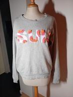 Sweater CKS maat M, Kleding | Dames, Maat 38/40 (M), Ophalen of Verzenden, Zo goed als nieuw, CKS