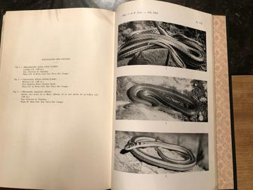 Genera des Serpents du Congo et du Ruanda-Urundi - Witte, Ga beschikbaar voor biedingen