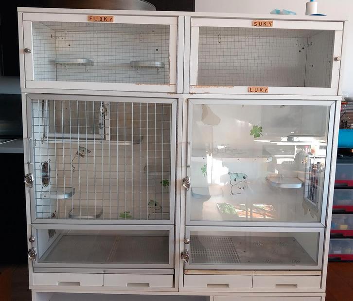 Kooi voor kleine knaagdieren, Dieren en Toebehoren, Knaagdieren, Januari