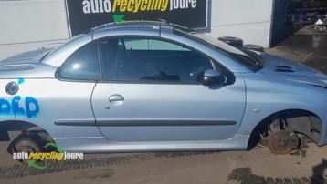 Portier 2Deurs rechts van een Peugeot 206 (EYLC) beschikbaar voor biedingen