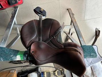 Equiline springeadel te koop