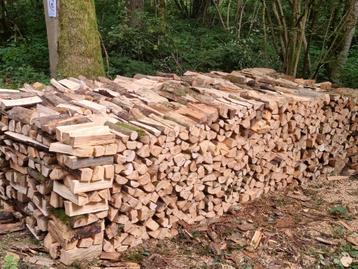 Bois de chauffage sec   (Sans acompte!) beschikbaar voor biedingen