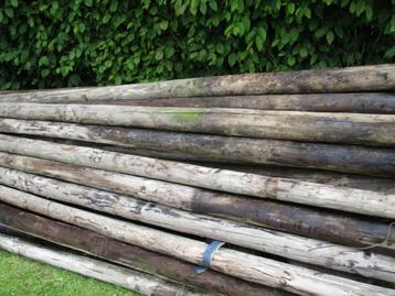 Houten palen beschikbaar voor biedingen