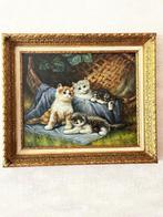 Schilderij katten, Antiek en Kunst, Ophalen