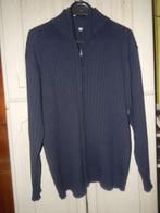gilée bleu homme large, Vêtements | Hommes, Pulls & Vestes, Enlèvement ou Envoi, Geen merk, Taille 52/54 (L), Porté