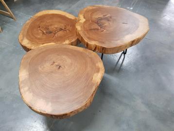 Ronde Boomstamtafels bijzetafel salontafel olm  beschikbaar voor biedingen
