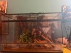 Terrarium, Dieren en Toebehoren, Ophalen, Gebruikt, Terrarium of Paludarium