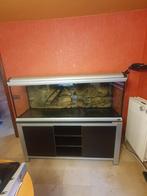 Tweedehands aquarium met filter, Ophalen, Gebruikt, Leeg aquarium