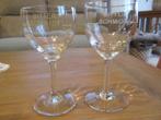 2 borrelglaasjes Bitter Schmidt, Verzamelen, Ophalen of Verzenden, Zo goed als nieuw, Borrel- of Shotglas
