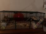 hamsterkooi + kleinere vervoerkooi, Dieren en Toebehoren, Kooi, Gebruikt, Hamster, 75 tot 110 cm