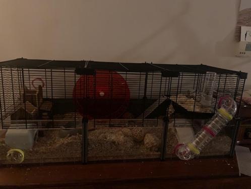 hamsterkooi + kleinere vervoerkooi, Dieren en Toebehoren, Knaagdieren en Konijnen | Hokken en Kooien, Gebruikt, Kooi, Minder dan 60 cm