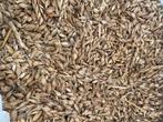 Spelt, Dieren en Toebehoren, Ophalen of Verzenden