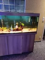 Aquarium te koop, Dieren en Toebehoren, Vissen | Aquaria en Toebehoren, Ophalen, Zo goed als nieuw, Gevuld zoetwateraquarium
