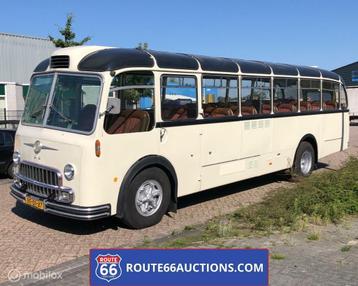 FBW C40 U Bus 1957 | Route 66 auctions beschikbaar voor biedingen