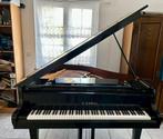 Petit piano à queue à vendre, Brillant, Enlèvement, Utilisé, À queue