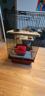 Hamsterkooi, Dieren en Toebehoren, Ophalen