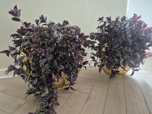 Grote vazen van light&living 2 stuks!, Huis en Inrichting, Woonaccessoires | Vazen, Ophalen