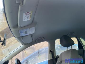 VW POLO 6C Hemel bekleding 5 deurs 2009-2017 beschikbaar voor biedingen