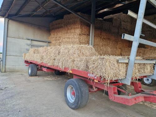 Stro kleine tarwebalen Sint-Joris-Winge, Dieren en Toebehoren, Dierenvoeding, Overige soorten, Ophalen