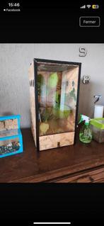 terrarium fais maison nouveaux 25 x 25 x 50 cm, Dieren en Toebehoren, Reptielen en Amfibieën | Toebehoren, Ophalen of Verzenden