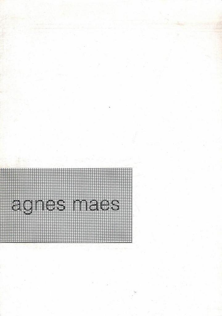 Agnes Maes: schilderijen en werken op papier, 1993 - 1998, Boeken, Kunst en Cultuur | Beeldend, Gelezen, Ophalen of Verzenden