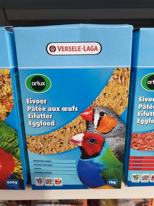 Orlux Droog Eivoer Tropische Vogels 1kg, Dieren en Toebehoren, Vogels | Toebehoren, Nieuw, Ophalen