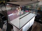 Terrarium glazen verblijf, Dieren en Toebehoren, Gebruikt, Hamster, 75 tot 110 cm, Ophalen