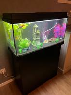 Aquarium JEWEL 110 liter met kast en toebehoren, Dieren en Toebehoren, Vissen | Aquaria en Toebehoren, Ophalen of Verzenden, Zo goed als nieuw