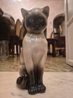 Siamese kat in goede conditie., Ophalen, Gebruikt, Dier