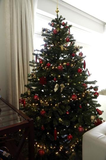 Sapin de Noël artificiel Triumph Tree