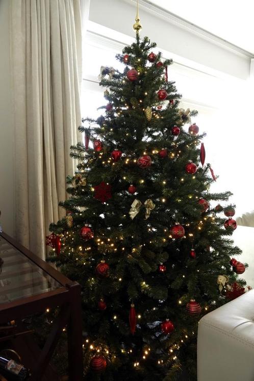 Sapin de Noël artificiel Triumph Tree, Divers, Noël, Utilisé, Enlèvement