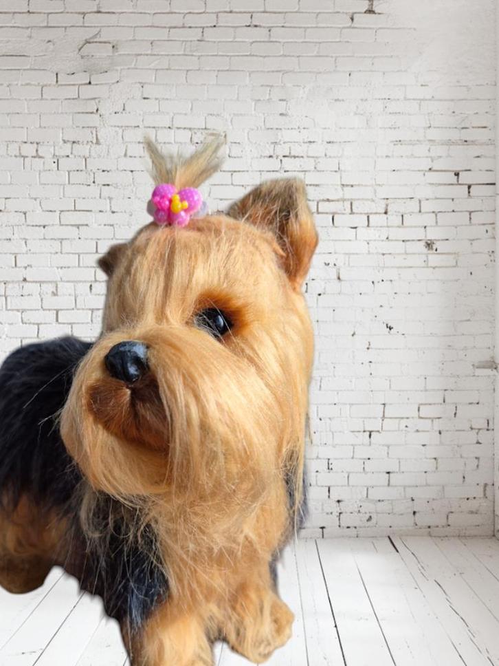 Haarspelden voor de hond: functioneel, grappig en mooi, Dieren en Toebehoren, Honden-accessoires, Nieuw, Verzenden